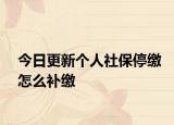 今日更新个人社保停缴怎么补缴