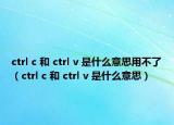 ctrl c 和 ctrl v 是什么意思用不了（ctrl c 和 ctrl v 是什么意思）