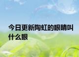今日更新陶虹的眼睛叫什么眼