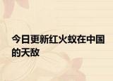 今日更新红火蚁在中国的天敌