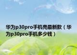 华为p30pro手机壳最新款（华为p30pro手机多少钱）
