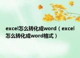 excel怎么转化成word（excel怎么转化成word格式）