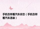 手机怎样看汽车状态（手机怎样看汽车违章）