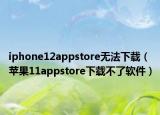 iphone12appstore无法下载（苹果11appstore下载不了软件）