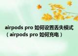 airpods pro 如何设置丢失模式（airpods pro 如何充电）