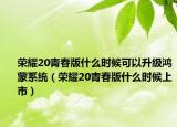 荣耀20青春版什么时候可以升级鸿蒙系统（荣耀20青春版什么时候上市）