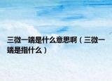 三微一端是什么意思啊（三微一端是指什么）
