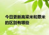 今日更新高粱米和薏米的区别有哪些