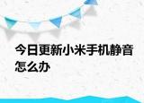 今日更新小米手机静音怎么办