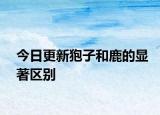 今日更新狍子和鹿的显著区别