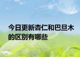 今日更新杏仁和巴旦木的区别有哪些
