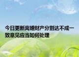 今日更新离婚财产分割达不成一致意见应当如何处理