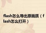 flash怎么导出原画质（flash怎么打开）