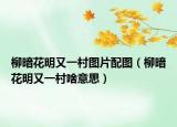柳暗花明又一村图片配图（柳暗花明又一村啥意思）