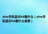 vivo手机显示hd是什么（vivo手机显示hd是什么意思）