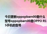 今日更新oppopbam00是什么型号oppopbam00是OPPO R15手机的型号
