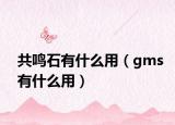 共鸣石有什么用（gms有什么用）