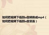 如何把视频下载到u盘转换成mp4（如何把视频下载到u盘里面）