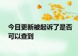 今日更新被起诉了是否可以查到