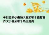 今日更新小番茄大番茄哪个更有营养大小番茄哪个热量更高