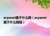 arpanet属于什么网（arpanet属于什么网络）