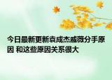 今日最新更新袁成杰戚薇分手原因 和这些原因关系很大