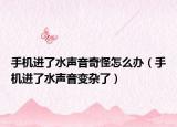 手机进了水声音奇怪怎么办（手机进了水声音变杂了）