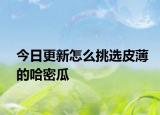 今日更新怎么挑选皮薄的哈密瓜