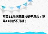 苹果11忽然黑屏按键无反应（苹果11忽然不开机）