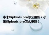 小米flipbuds pro怎么更新（小米flipbuds pro怎么更新）
