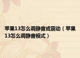 苹果13怎么调静音或震动（苹果13怎么调静音模式）