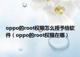 oppo的root权限怎么授予给软件（oppo的root权限在哪）