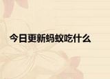 今日更新蚂蚁吃什么