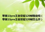 苹果13pro王者荣耀120帧稳定吗（苹果13pro王者荣耀120帧怎么开）