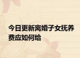 今日更新离婚子女抚养费应如何给