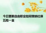 今日更新自由职业如何缴纳社保五险一金