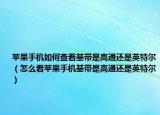 苹果手机如何查看基带是高通还是英特尔（怎么看苹果手机基带是高通还是英特尔）