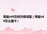 荣耀v40怎样升级鸿蒙（荣耀v40怎么插卡）