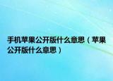 手机苹果公开版什么意思（苹果公开版什么意思）