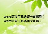word开发工具选项卡在哪里（word开发工具选项卡在哪）