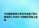 今日最新更新小麦玉米全涨了新小麦高开1.59元斤 6月粮价还能上涨吗