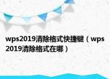 wps2019清除格式快捷键（wps2019清除格式在哪）