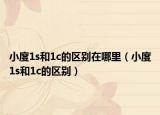 小度1s和1c的区别在哪里（小度1s和1c的区别）