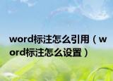 word标注怎么引用（word标注怎么设置）
