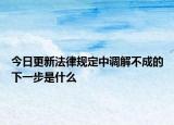 今日更新法律规定中调解不成的下一步是什么