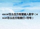 excel怎么在方框里输入数字（excel怎么在方框里打√符号）
