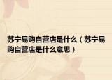 苏宁易购自营店是什么（苏宁易购自营店是什么意思）