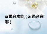 xr录音功能（xr录音在哪）