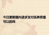 今日更新婚内请求支付抚养费是可以的吗
