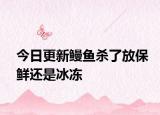 今日更新鳗鱼杀了放保鲜还是冰冻